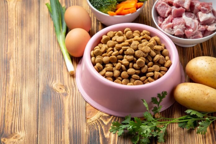 fresh pet dog food