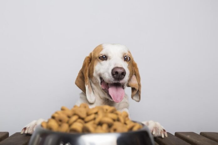 naturo dog food